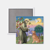 Aimant Saint François - Retriever doré (#1) (Recto/Verso)
