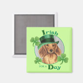 Aimant Saint Patrick's Day LonghEI Dachshund (Recto/Verso)