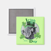 Aimant Saint Patrick's Day Miniature Poodle (Recto/Verso)