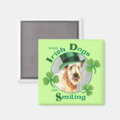 Aimant Saint Patrick's Day Wheaten Terrier (Recto/Verso)