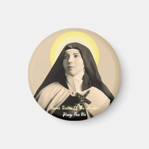 AIMANT SAINT TERESA DES ANDES