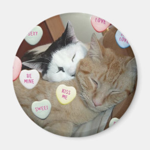 Aimant Saint Valentin Chatons