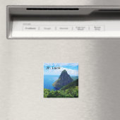 Aimant Sainte-Lucie (In Situ (Lave-vaisselle))