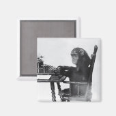 Aimant Saisie de singe (Recto/Verso)