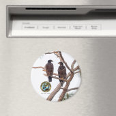 Aimant Saison E21 & E22 Best Buds 11 (In Situ (Lave-vaisselle))