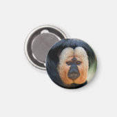 Aimant Saki à visage blanc (Recto/Verso)