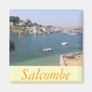 Aimant Salcombe, Devon