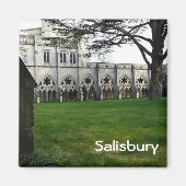 Aimant Salisbury (Devant)