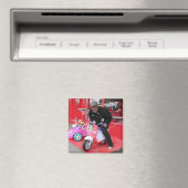 Aimant Salle de toilettes (In Situ (Lave-vaisselle))