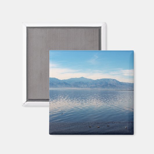 Aimant Salton (Recto/Verso)