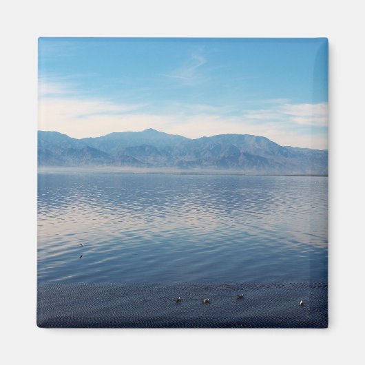 Aimant Salton (Devant)