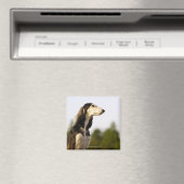 Aimant Saluki (In Situ (Lave-vaisselle))