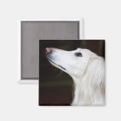 Aimant Saluki se lève (Recto/Verso)