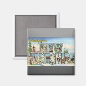 Aimant Salutations Du New Hampshire, Vintage (Recto/Verso)