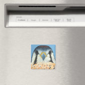 Aimant Sam, un Kestral américain (In Situ (Lave-vaisselle))