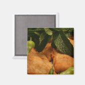 Aimant Samosa (Recto/Verso)