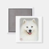 Aimant Samoyed 9Y566D-019 (Recto/Verso)