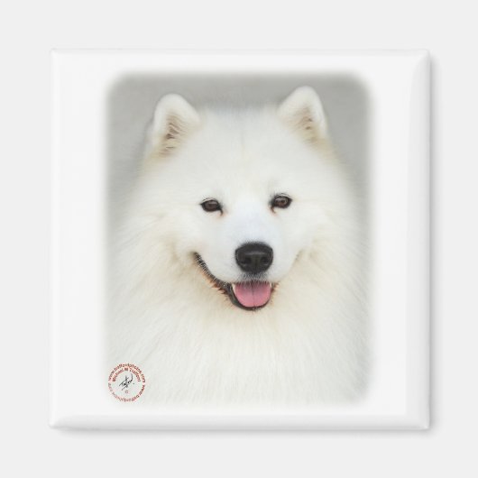 Aimant Samoyed 9Y566D-019 (Devant)