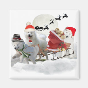 Aimant Samoyed Christmas Magents