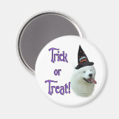 Aimant Samoyed Trick (Recto/Verso)