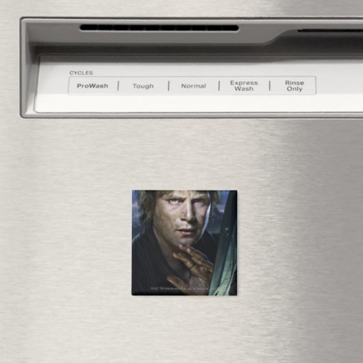 Aimant Samwise (In Situ (Lave-vaisselle))