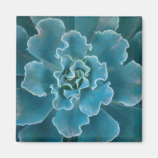 Aimant San Francisco California Golden Gate Park et (Devant)