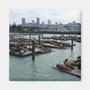 Aimant San Francisco et Otaries de Pier 39 Ciel de la vil