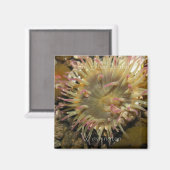 Aimant San Juan Island, Washington (Recto/Verso)