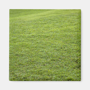 Aimant San Juan, Porto Rico - L'herbe verte est