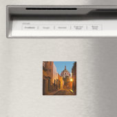 Aimant San Miguel de Allende, Mexique. Crédit : Nancy (In Situ (Lave-vaisselle))