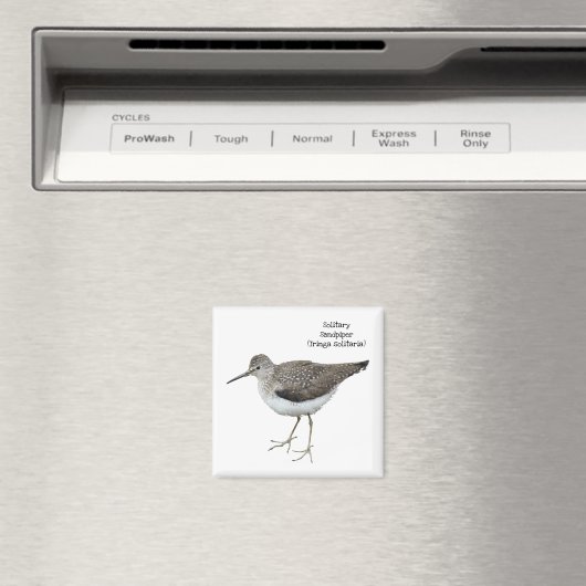 Aimant Sandpiper solitaire (In Situ (Lave-vaisselle))