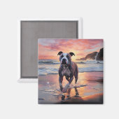 Aimant Sandy American Staffordshire Dog on Beach Sunset (Recto/Verso)