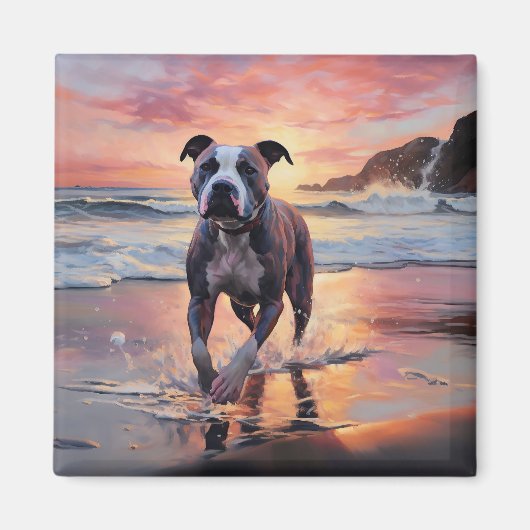 Aimant Sandy American Staffordshire Dog on Beach Sunset (Devant)
