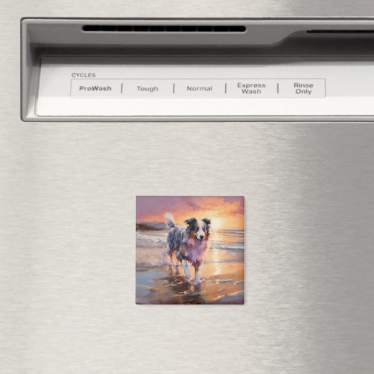 Aimant Sandy Australian Shepherd Dog on Beach Sunset (In Situ (Lave-vaisselle))