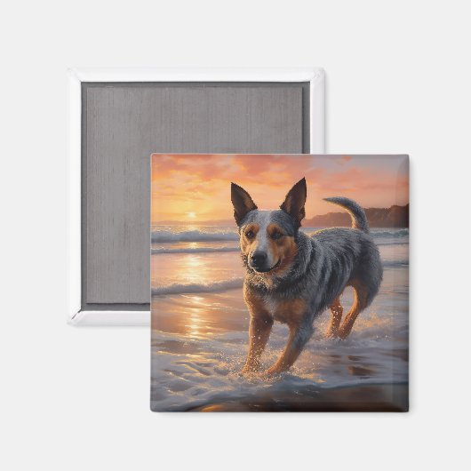 Aimant Sandy Paws Australian Cattle Dog on Beach Sunset (Recto/Verso)