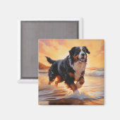 Aimant Sandy Paws Bernese Mountain Dog on Beach Sunset (Recto/Verso)