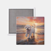 Aimant Sandy Paws Bichon Frise Dog sur Beach Sunset (Recto/Verso)