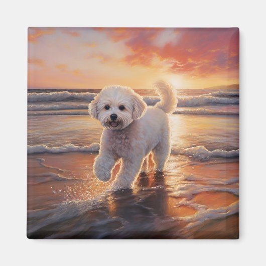 Aimant Sandy Paws Bichon Frise Dog sur Beach Sunset (Devant)