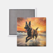 Aimant Sandy Paws Chien Malinois Belge sur le coucher du  (Recto/Verso)