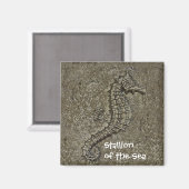 Aimant Sandy Textured Seahorse Photo (Recto/Verso)