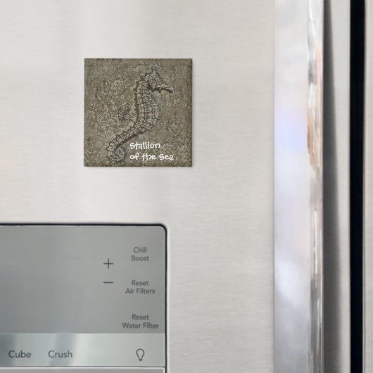 Aimant Sandy Textured Seahorse Photo (In situ (réfrigérateur))