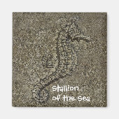 Aimant Sandy Textured Seahorse Photo (Devant)