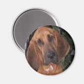 Aimant sanglant (Recto/Verso)