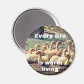 Aimant sans cruauté avec canards, végétalien (Recto/Verso)