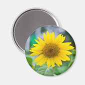 Aimant sans titre (Recto/Verso)