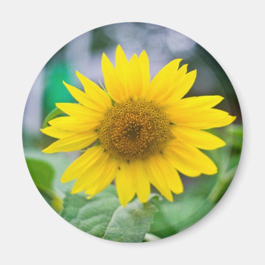 Aimant sans titre (Devant)