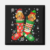 Aimant Santa Elf Golden Retriever Dog In Christmas Socks (Devant)