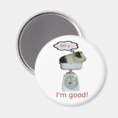 Aimant Santé des porcs de Guinée (Recto/Verso)