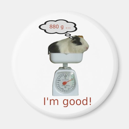 Aimant Santé des porcs de Guinée (Devant)