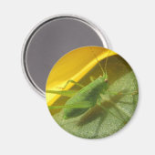 Aimant Sauterelles (Recto/Verso)